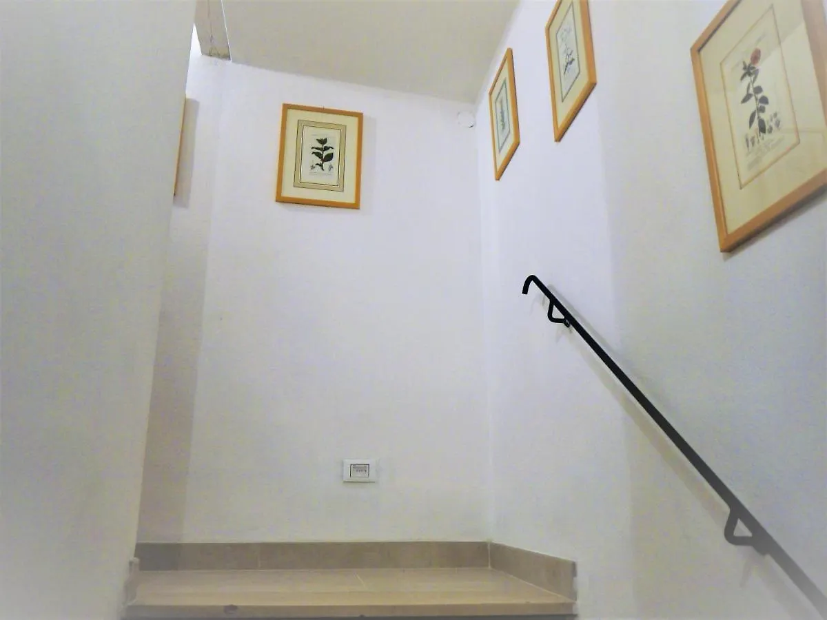 Casa Marzia Apartment Montevarchi
